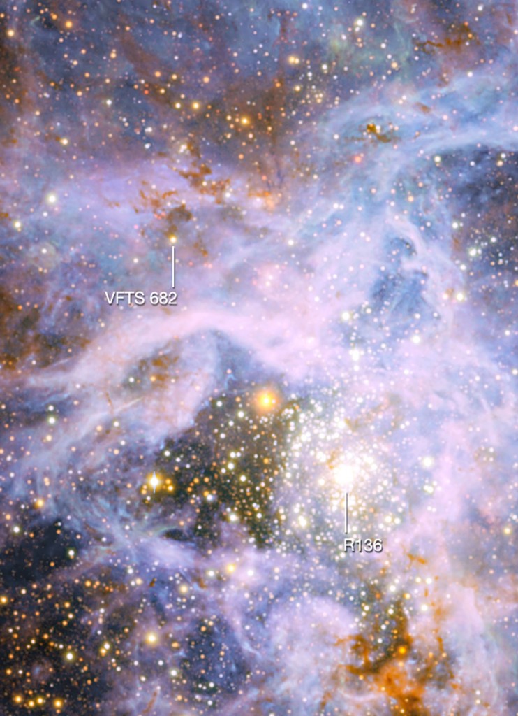 Solitären i Stora magellanska molnet. Foto: ESO