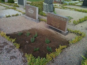 Frida har fått nya "Karlavagns-blommor" och en skylt. Foto: Gunilla Lindberg