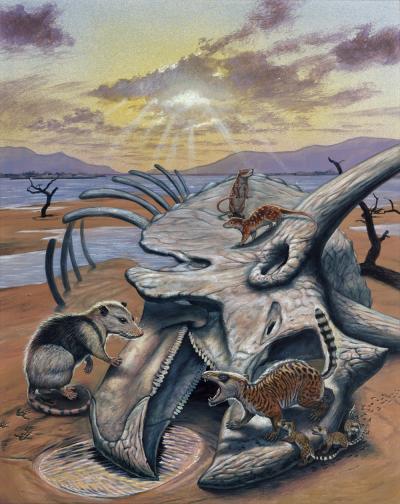Sista dinosauren och knaprande små däggdjur.... Ill: Mark Hallett