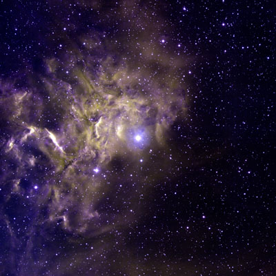 Eldfängt... AE Aur med omgivande nebulosa, "The Flaming Star Nebula". Foto: T Rector