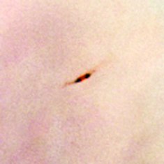 Protoplanetskiva i Orionnebulosan.