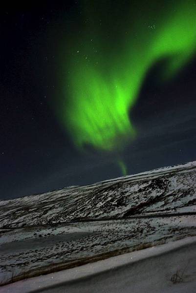 Foto: IBL Bildbyrå Ljungbyhed