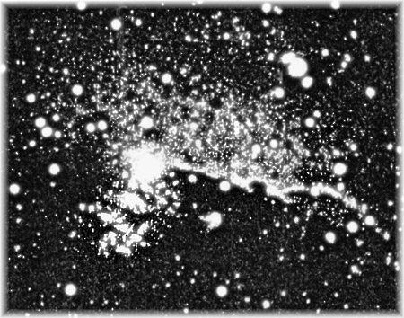 Max Wolf var en flitig nebulosafotograf - här är hans bild av Hästhuvudnebulosan 1891.
