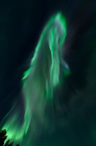 Foto med Copyrightskydd: Ulf Jonsson