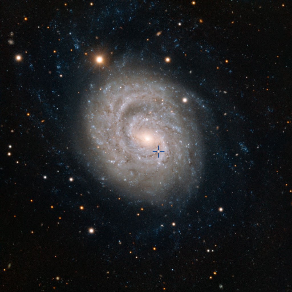 Galaxen med supernovan markerad. Bildkälla: ESO