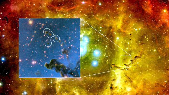 Små, runda mörka moln i Rosettnebulosan har de rätta egenskaperna för att kunna bilda fritt flytande planeter. Lilla bilden: en bild i infrarött ljus visar upp några av de små molnen (markerade med vita ringar). Den lilla bildens bredd motsvarar 3,9 ljusår. Stora bilden: en del av Rosettnebulosan. Källor: Canada-France-Hawaii Telescope/ 2003 och ESO/M. Mäkelä