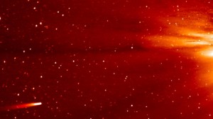 ISON-kometen på väg in mot solen härom dan. Bildkälla: NASA/STEREO