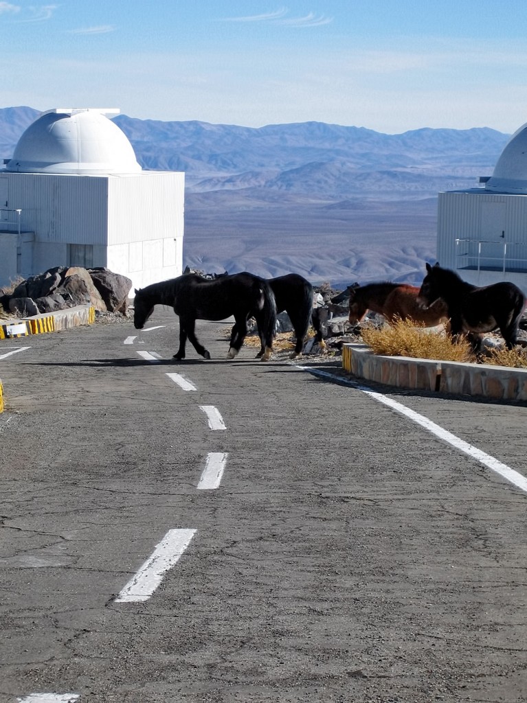 Foto: Klaas Wiersema/ESO