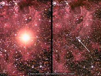 Så här såg det ut 1987 - efter och före. Bildkälla: Anglo-Australian Observatory/David Malin)