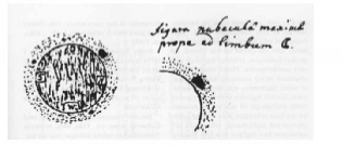 Wassenius