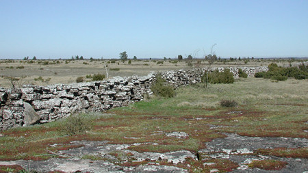 alvar
