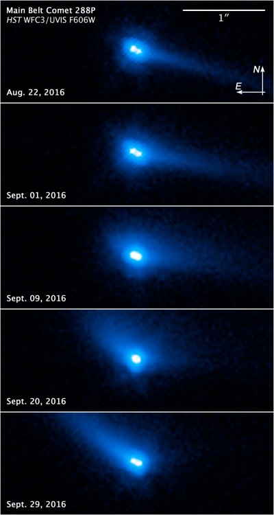 Image of binary asteroid system 288P
