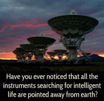 23376435_10210074479608128_2889220494046553416_n
