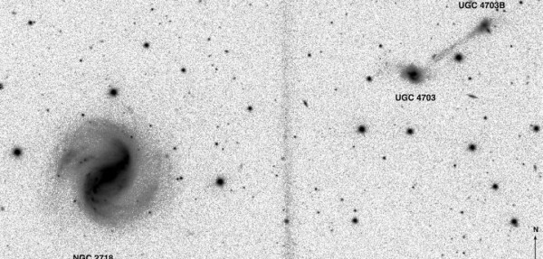 fig1sm-1-1078x516