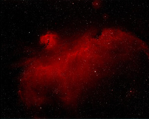 Seagull Nebula liten fil ljusare
