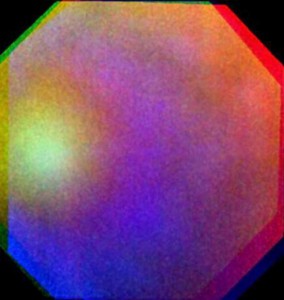 Venus_glory_large-550x580