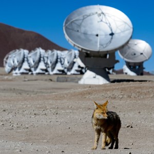 chile_nikon_alma_telescope_fox_antenna_eso_radiotelescope-474134