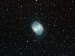 M27 Dumbell ver 2 (2)