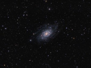 NGC 2403 Final (2)