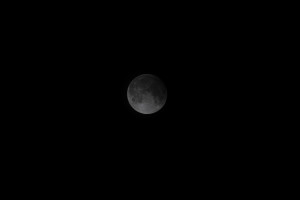 _MB50846 (2)