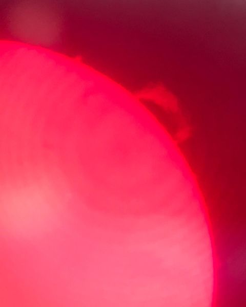 Denna bild har ett alt-attribut som är tomt. Dess filnamn är 297291401_5564553630275351_4589817621068592607_n.jpg